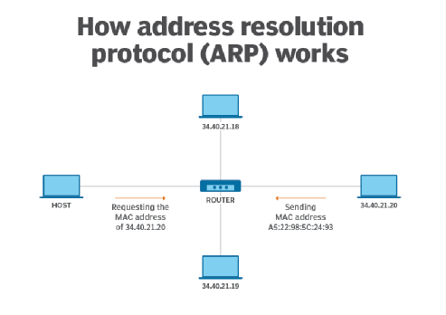 arp